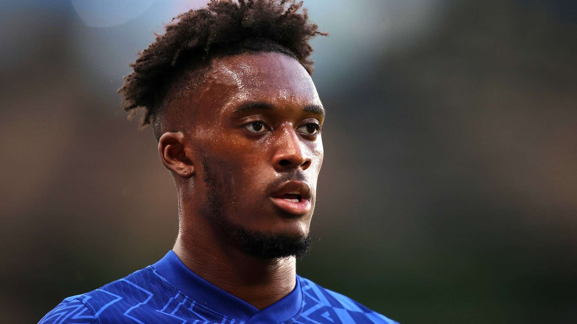 尽管董路对 尽管董路对